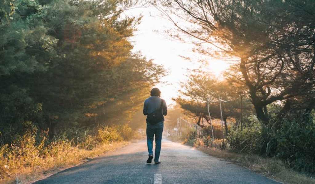 A person walking down a sunlit road surrounded by trees.