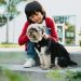 15 Dog Breeds That Are Surprisingly Great With Kids