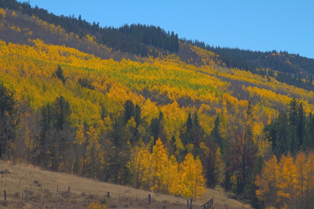 8 Popular US Getaways That are Far Better in the Off-Season