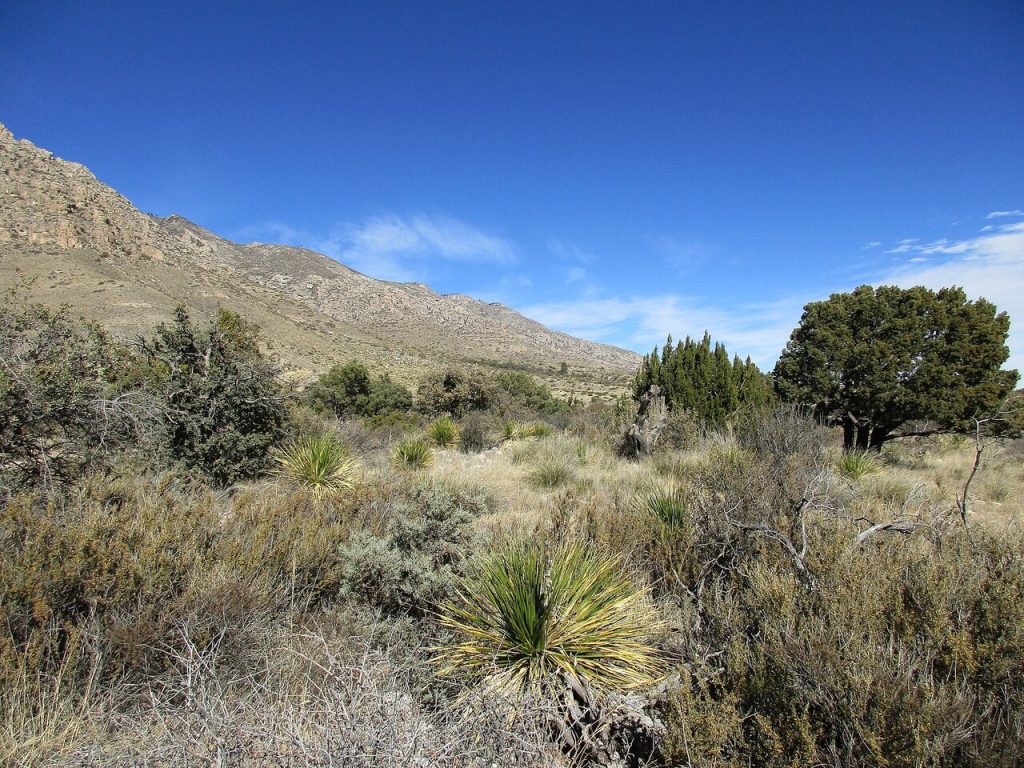 Guadalupe Mountains National Park
