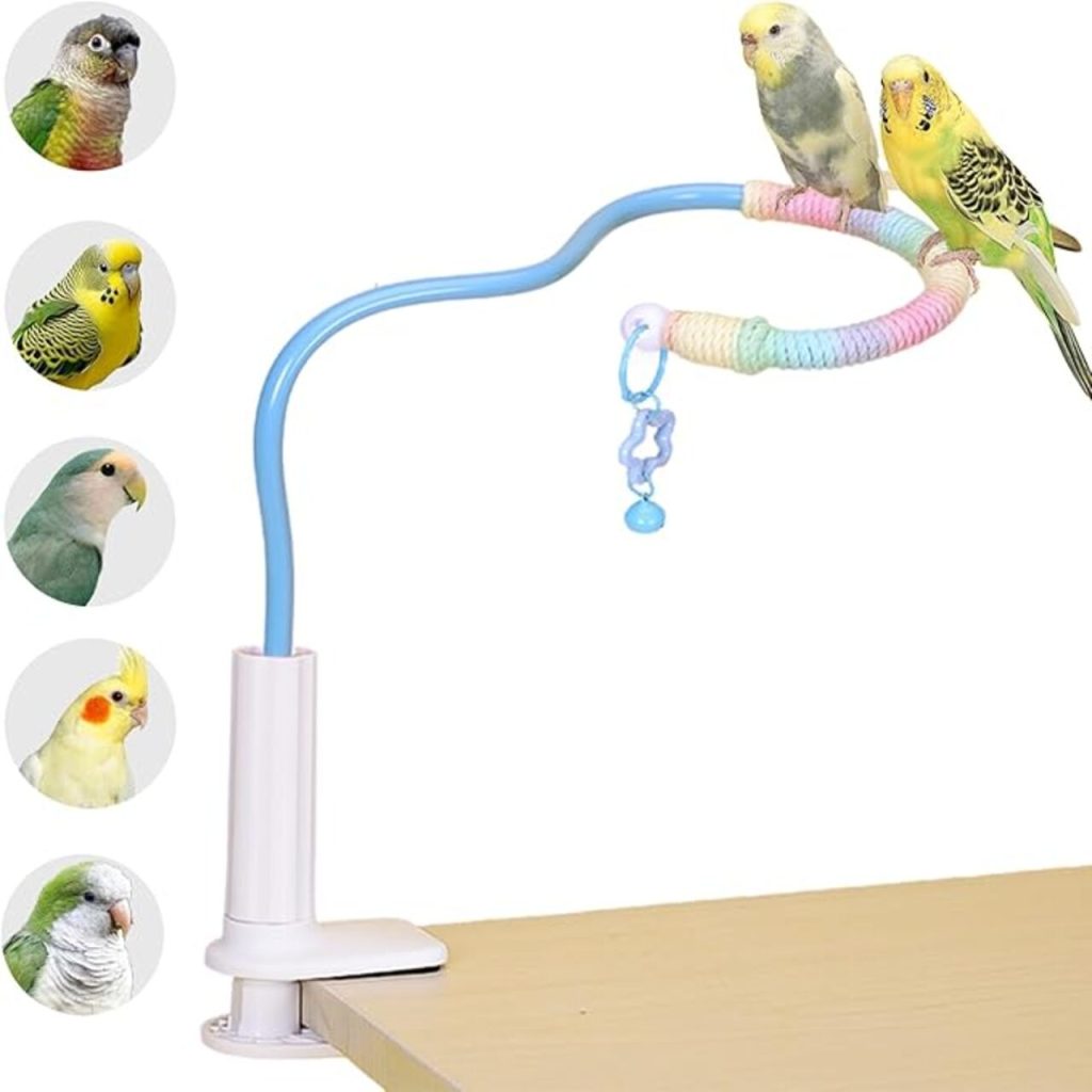 Bird Training Perch With Bells 