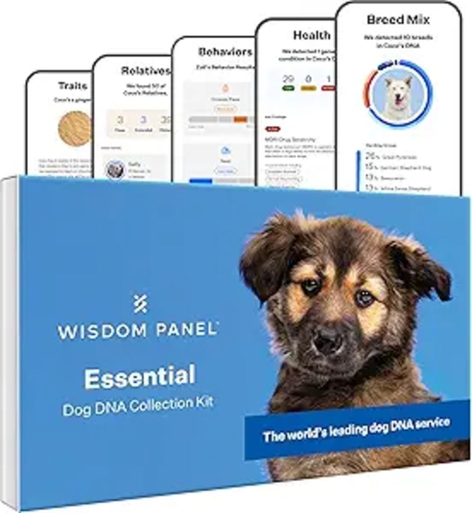 Pet DNA Test Kit
