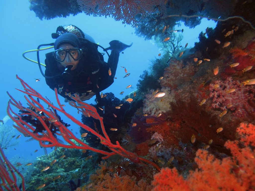 Dive into Raja Ampat