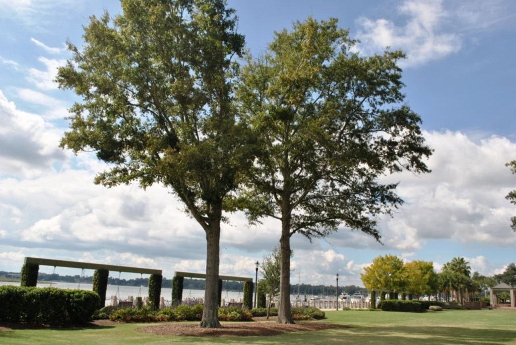 Beaufort, South Carolina