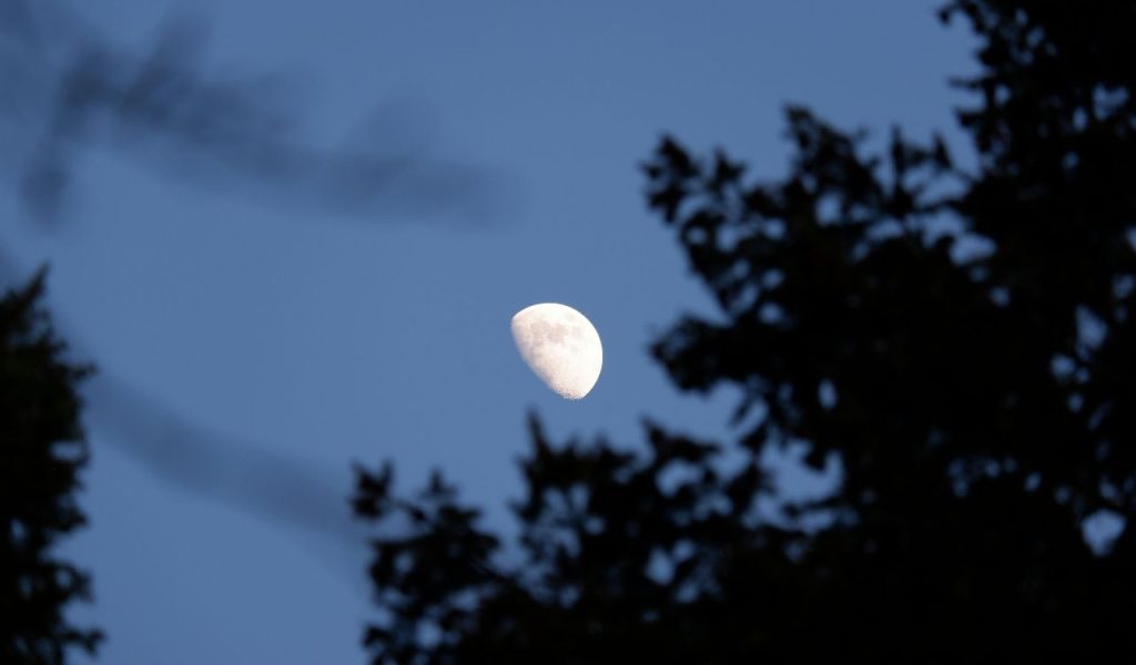 Being “Seen” All the Time