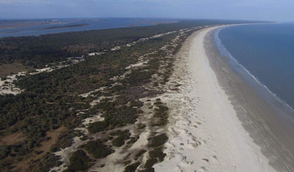 Cumberland Island, Georgia (USA)