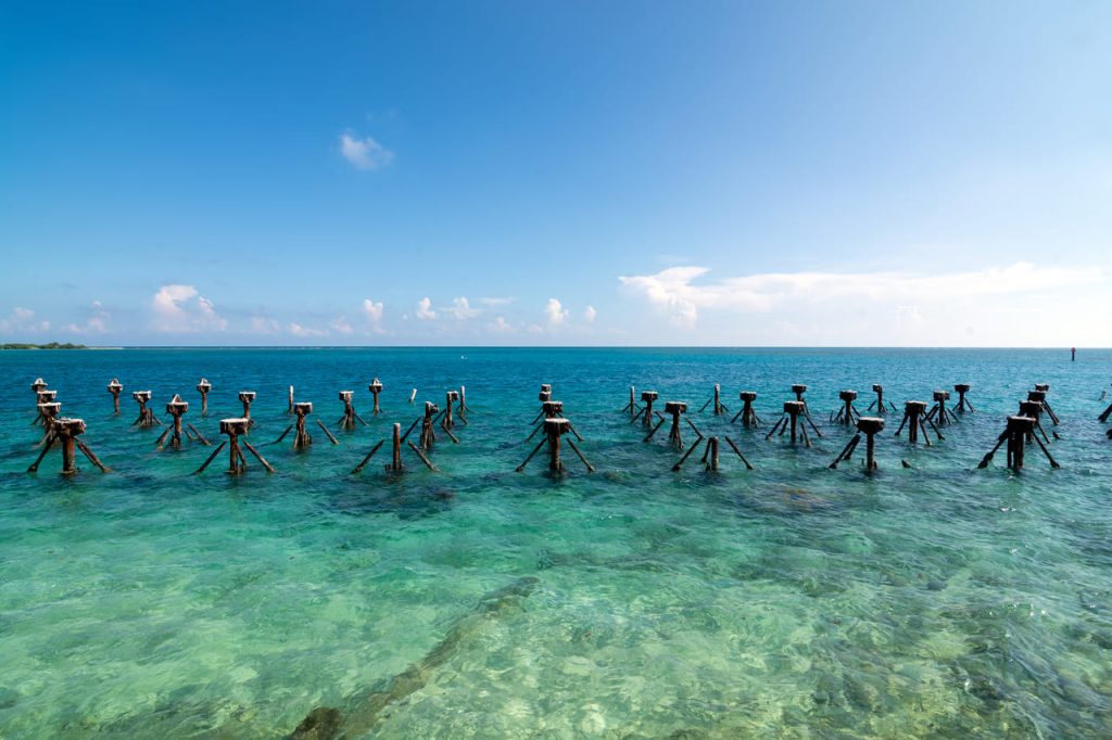 Dry Tortugas National Park