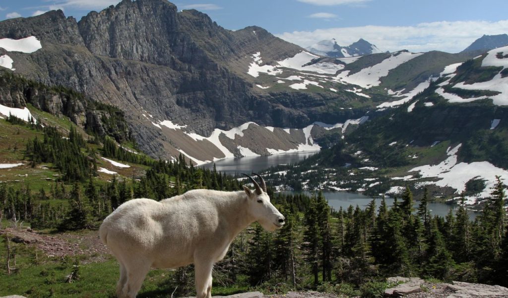 Glacier National Park