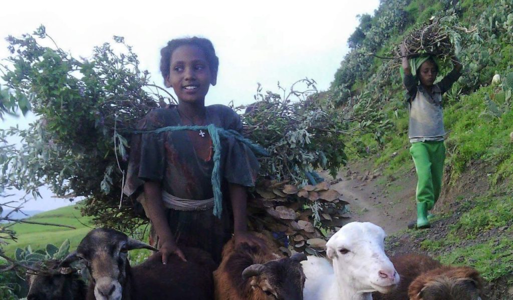 Handle Money and Run Errands for Parents