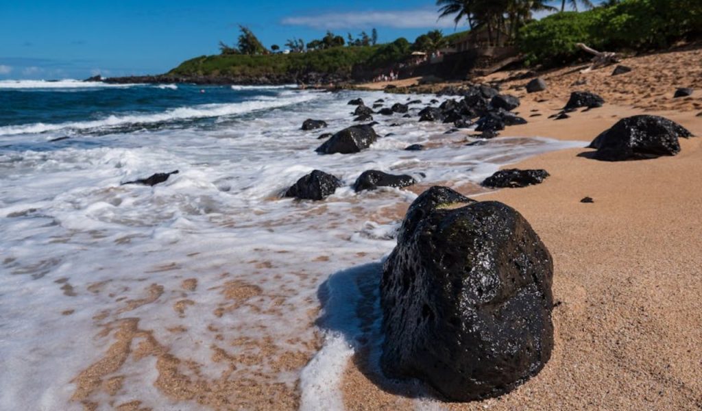 Waves washing over a rocky sandy beach with palm trees.