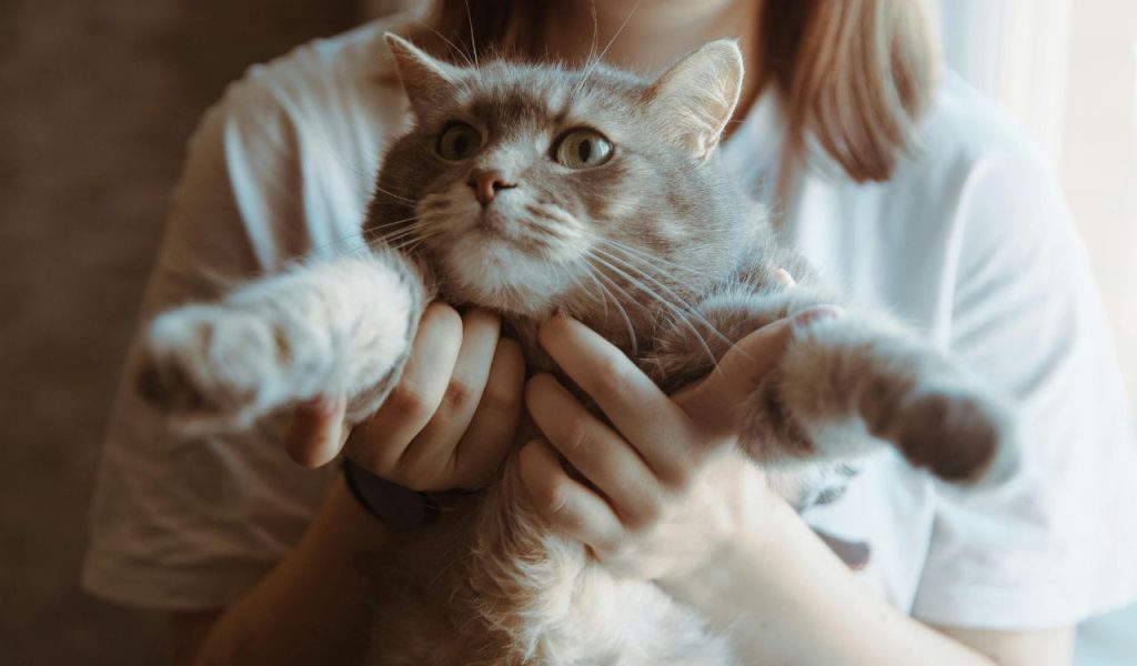 It’s Just Their Personality