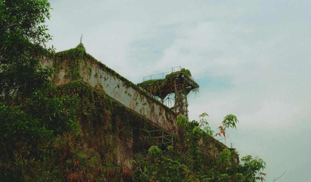 Overgrown or Neglected Landscaping