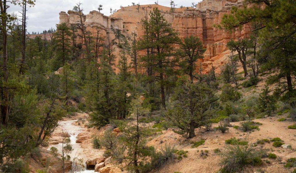 Queen’s Garden Trail – USA