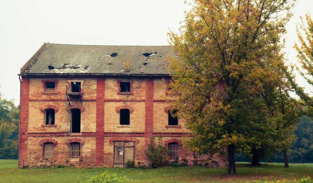 Roof Problems or Signs of Leakage