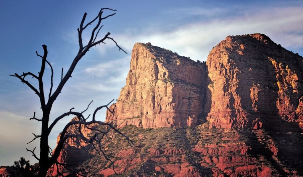 Red rock cliffs in Sedona with a bare tree in the foreground.