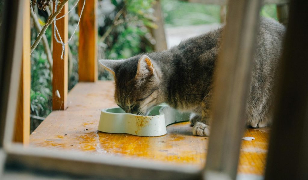 They Associate You With Food