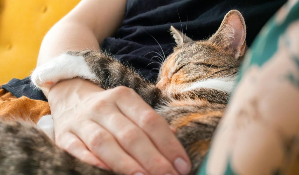 They Feel Safe Around You