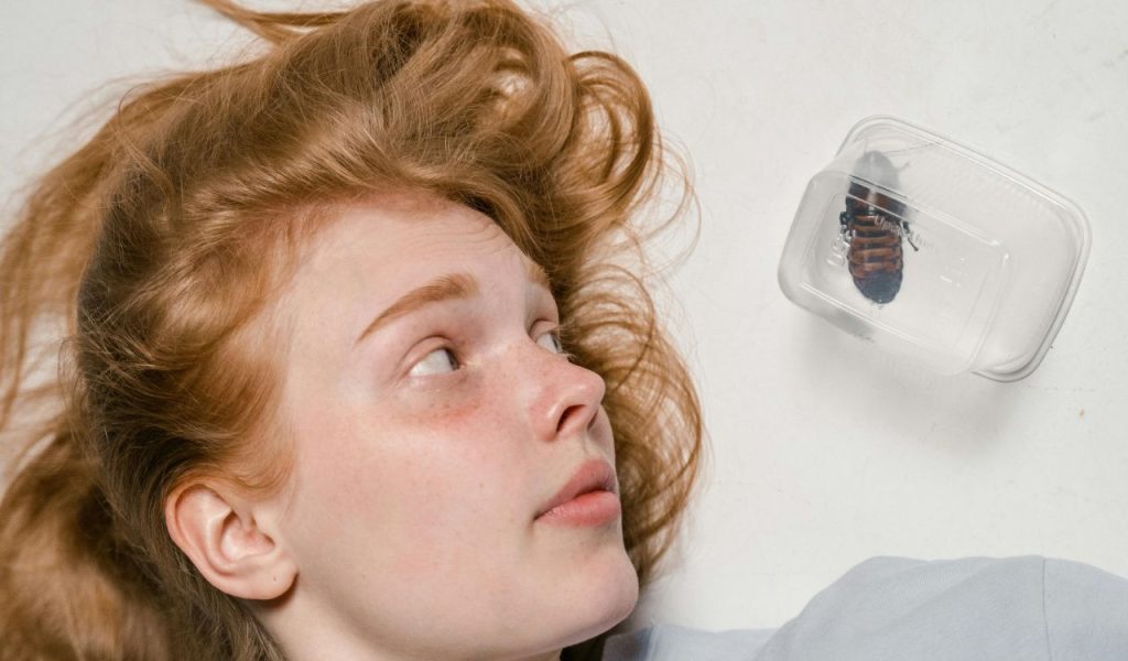 They Manage Fear, Not Eliminate It