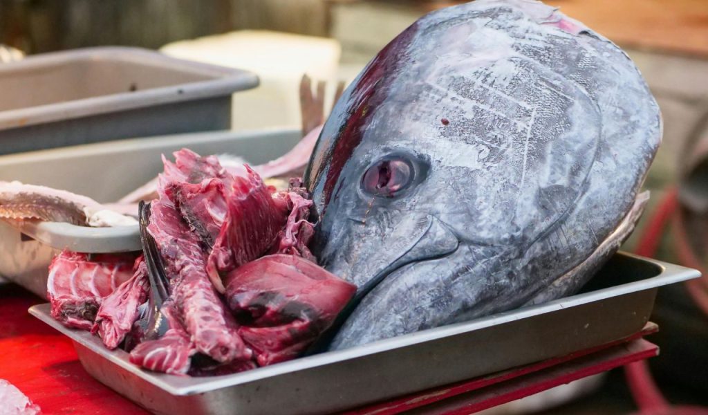 Tuna Eyeballs, Japan