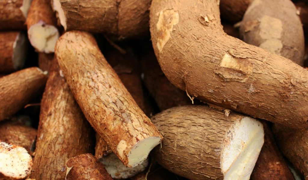 Use Starchy Ingredients to Absorb Salt