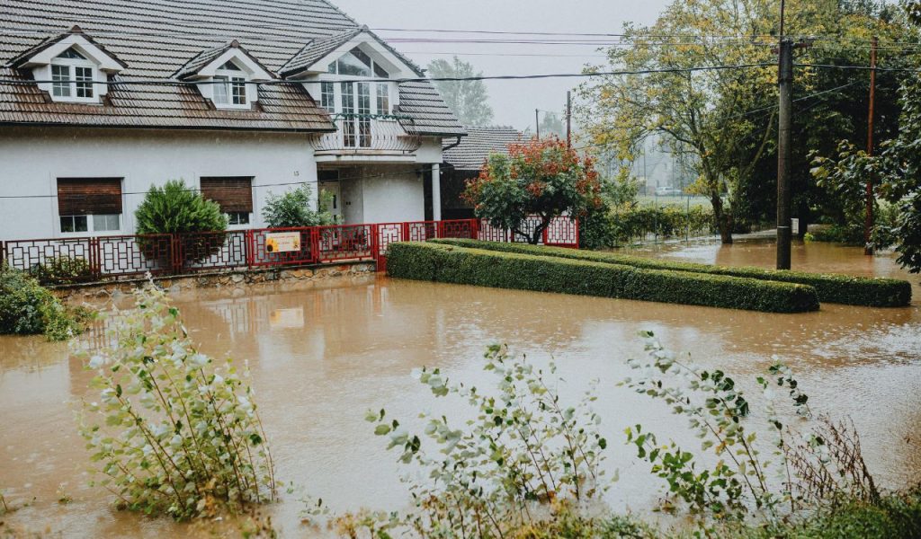 Water Damage or Mold Presence