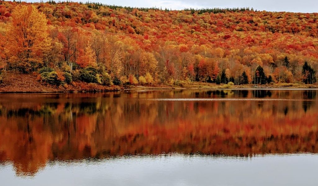 Autumn forest reflected in a calm lake.