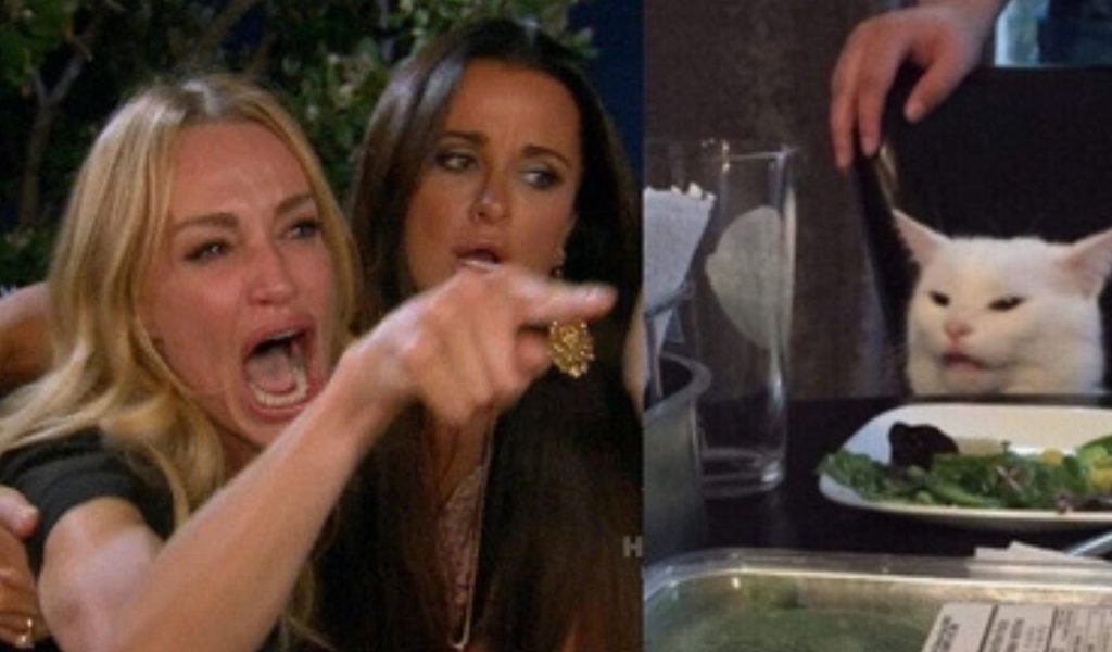 Woman Yelling at a Cat