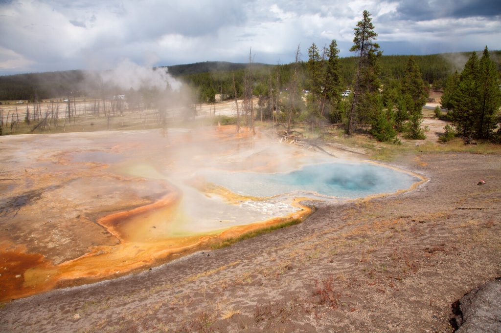 Yellowstone National Park in Late Spring