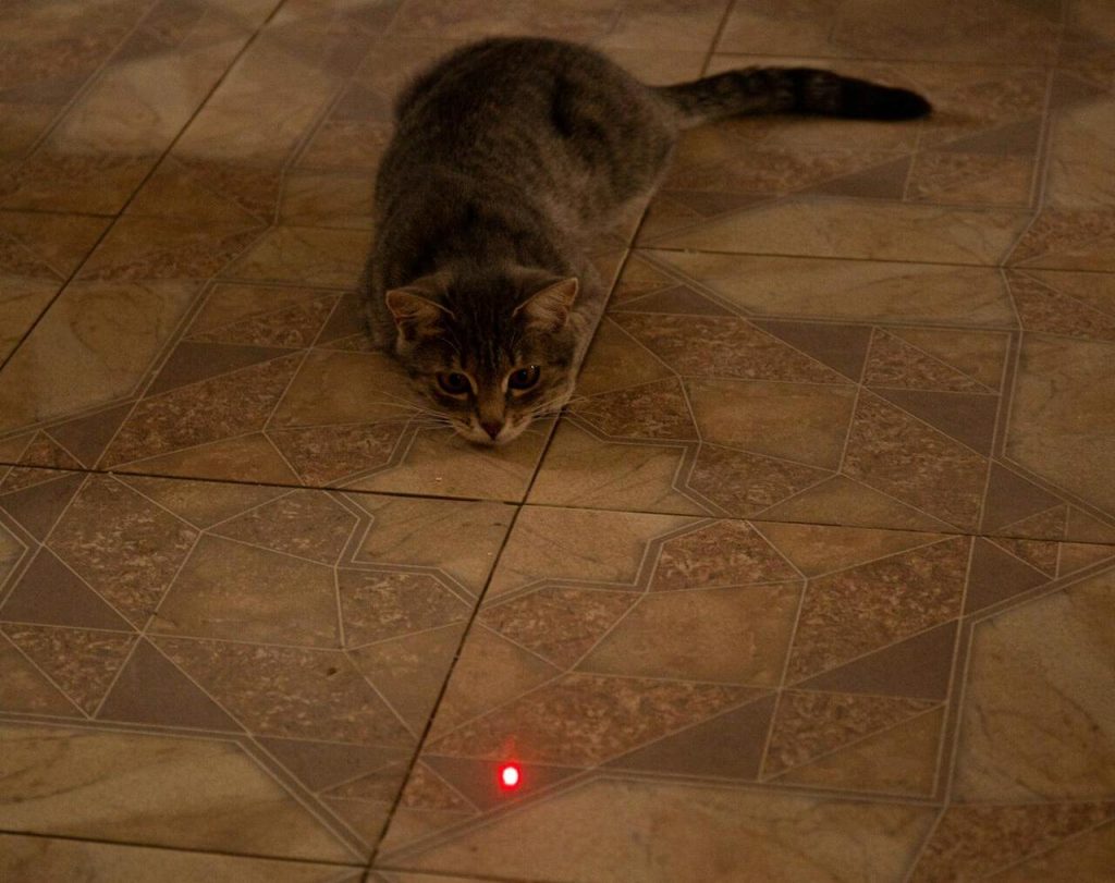 Interactive Laser Toy for Cats