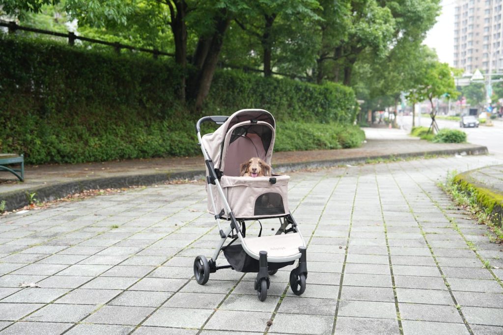 Pet Stroller
