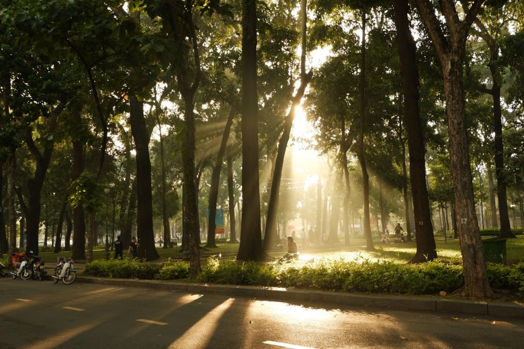 Noticing Your Surroundings