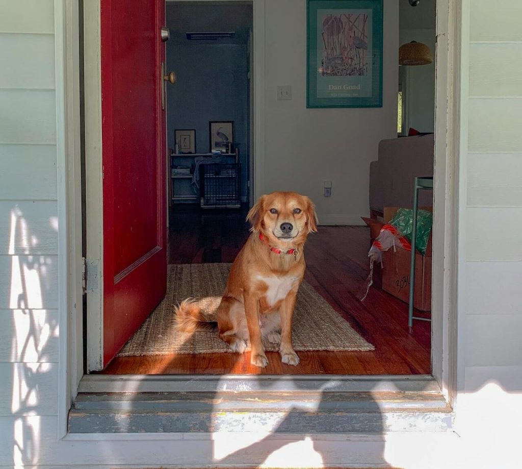 Reacting to changes in your routine