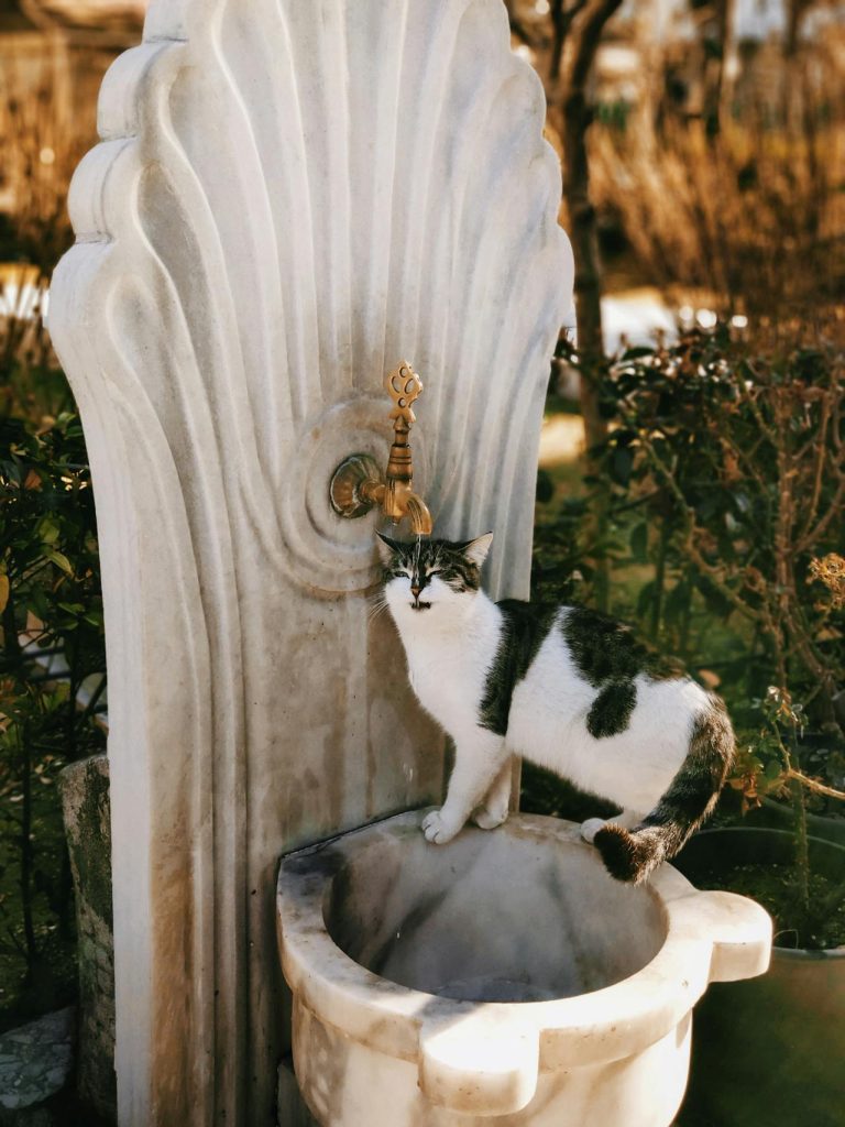Pet Water Fountain That Mimics a Stream