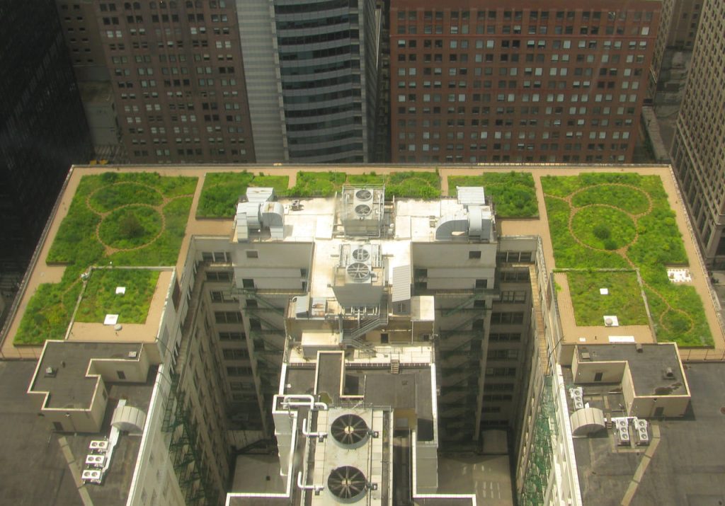The Garden Roof at Chicago City Hall