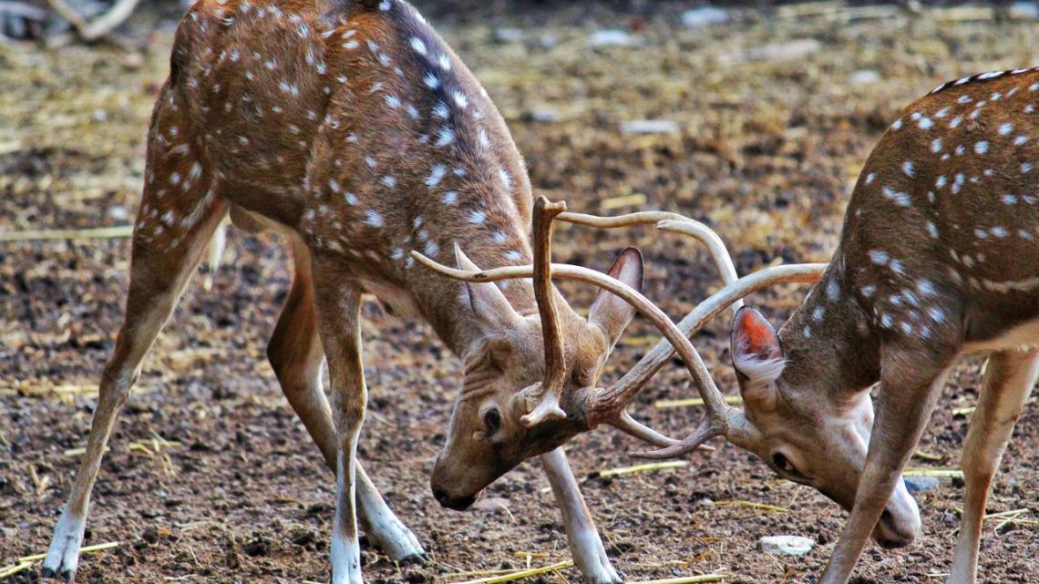 9 Places That Feel Both Wild and Safe at the Same Time