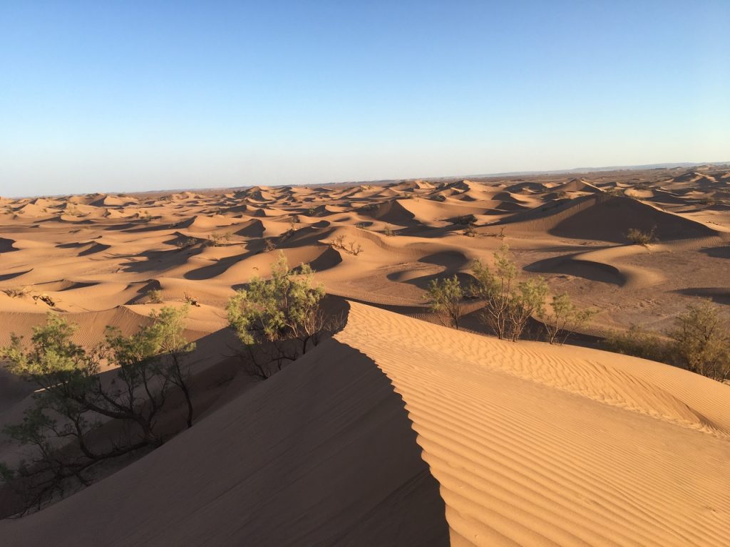 Sahara Desert