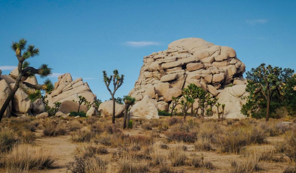 Echotrail – Joshua Tree National Park