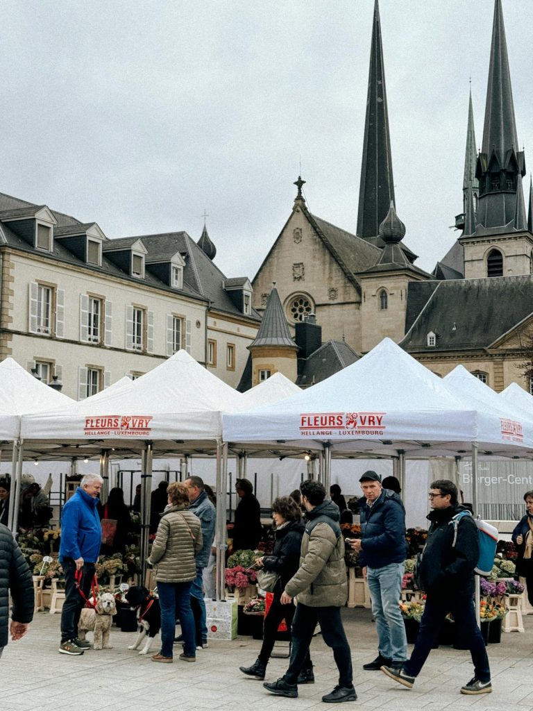 Neighborhood Culture Walks