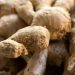 Detailed view of fresh raw ginger roots, showcasing texture and earthy tones. Ideal for food themes.