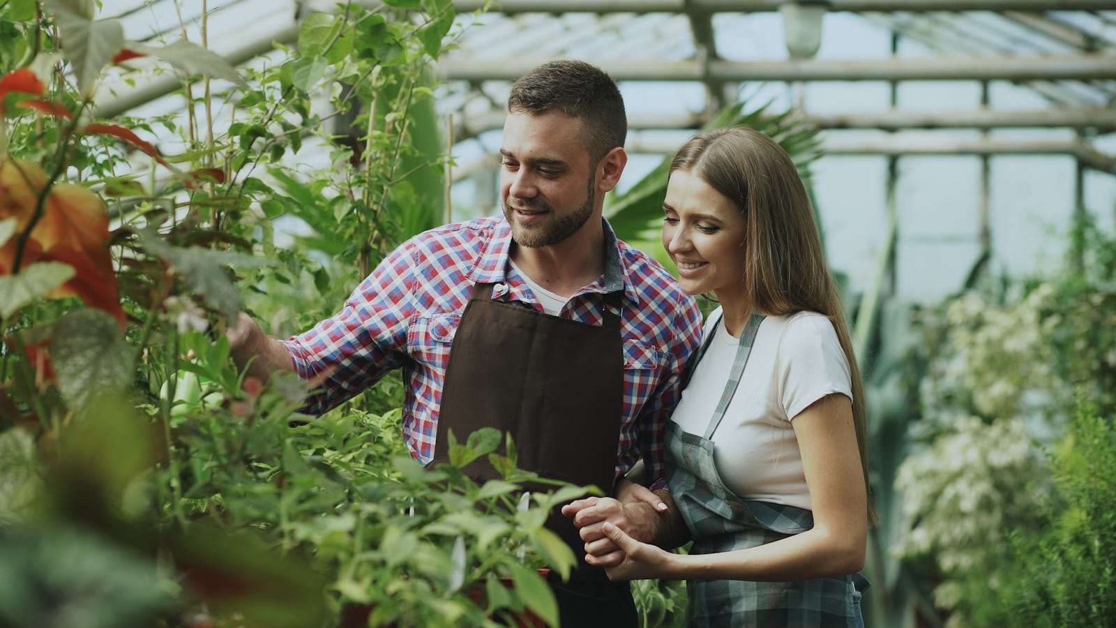 A happy couple tend to plants in a lush greenhouse, showcasing teamwork and nature care.