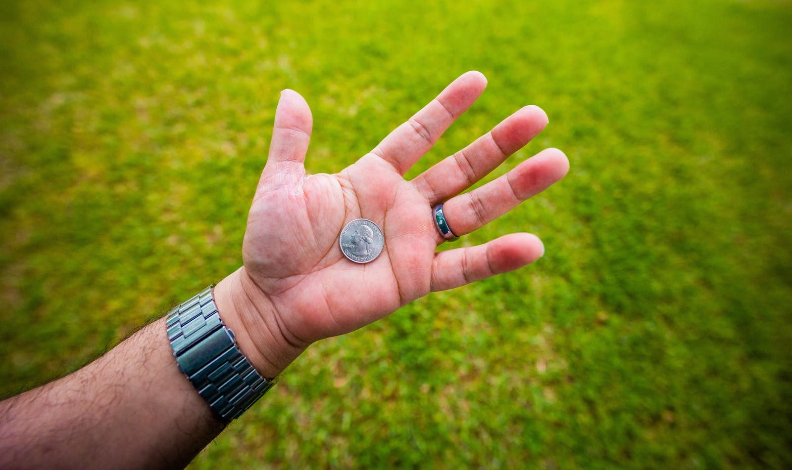 A close-up of a hand holding a coin, set against a vibrant green lawn, symbolic of wealth and nature.