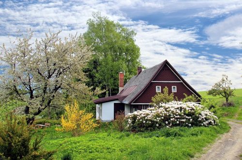 cottage, trees, path, trail, house, home, garden, grass, landscape, secluded, nature, cottage, house, house, house, house, house, home, home, home, garden, garden, garden, garden
