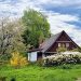 cottage, trees, path, trail, house, home, garden, grass, landscape, secluded, nature, cottage, house, house, house, house, house, home, home, home, garden, garden, garden, garden