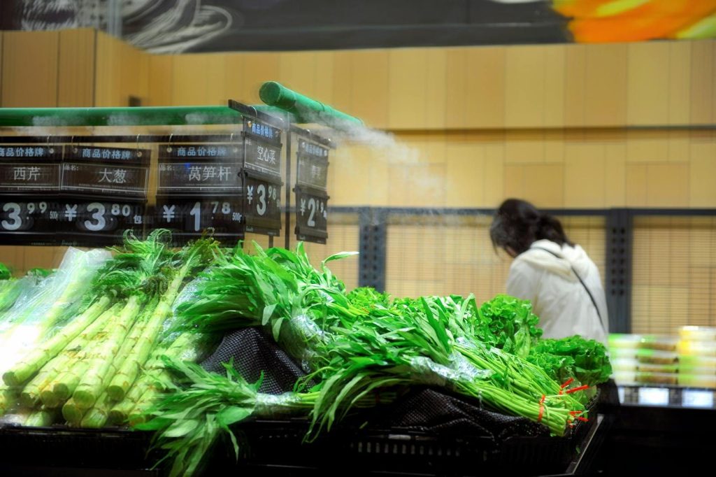 Lush green vegetables misted in indoor supermarket setting. Healthy produce shopping.