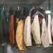 Collection of vintage varsity jackets hanging in a locker room creates a nostalgic vibe.